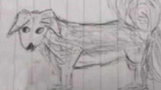 una abuela platense perdio a su perrita, no tiene fotos y la dibujo para que sepan como es