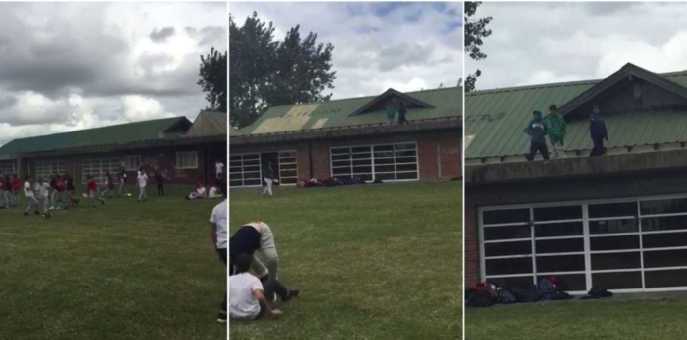 1553687101341.jpg?y=0&width=1484&height=742&rotate=0&scaleX=1&x=5&scaleY=1&ow=1500&oh=742&&cw=1920&ch=950