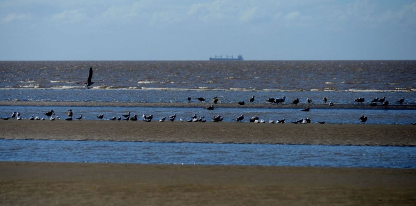 1586715539400.jpg?width=1493&height=747&scaleX=1&scaleY=1&oh=897&x=3&y=150&rotate=0&ow=1500&&cw=1920&ch=950