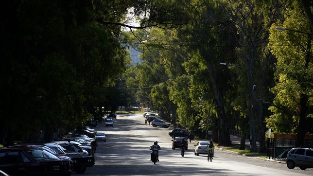 analizan cerrar el bosque por las noches para cuidarlo y mejorar la seguridad