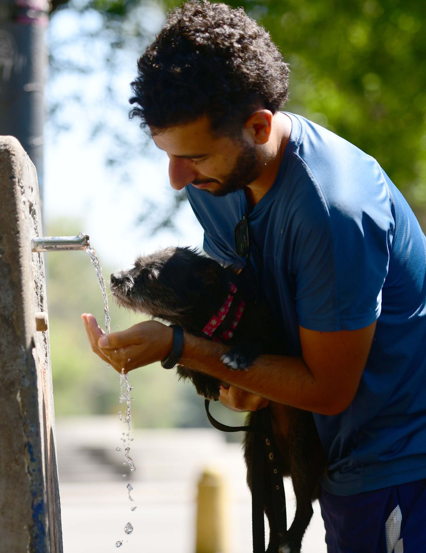 ola de calor clima verano_0002.jpg