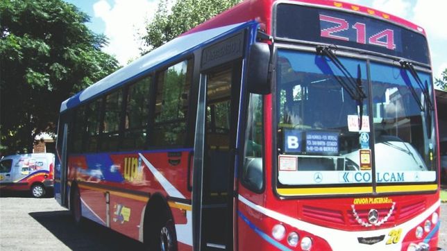 una estudiante de la unlp se confundio de micro, se tiro y murio