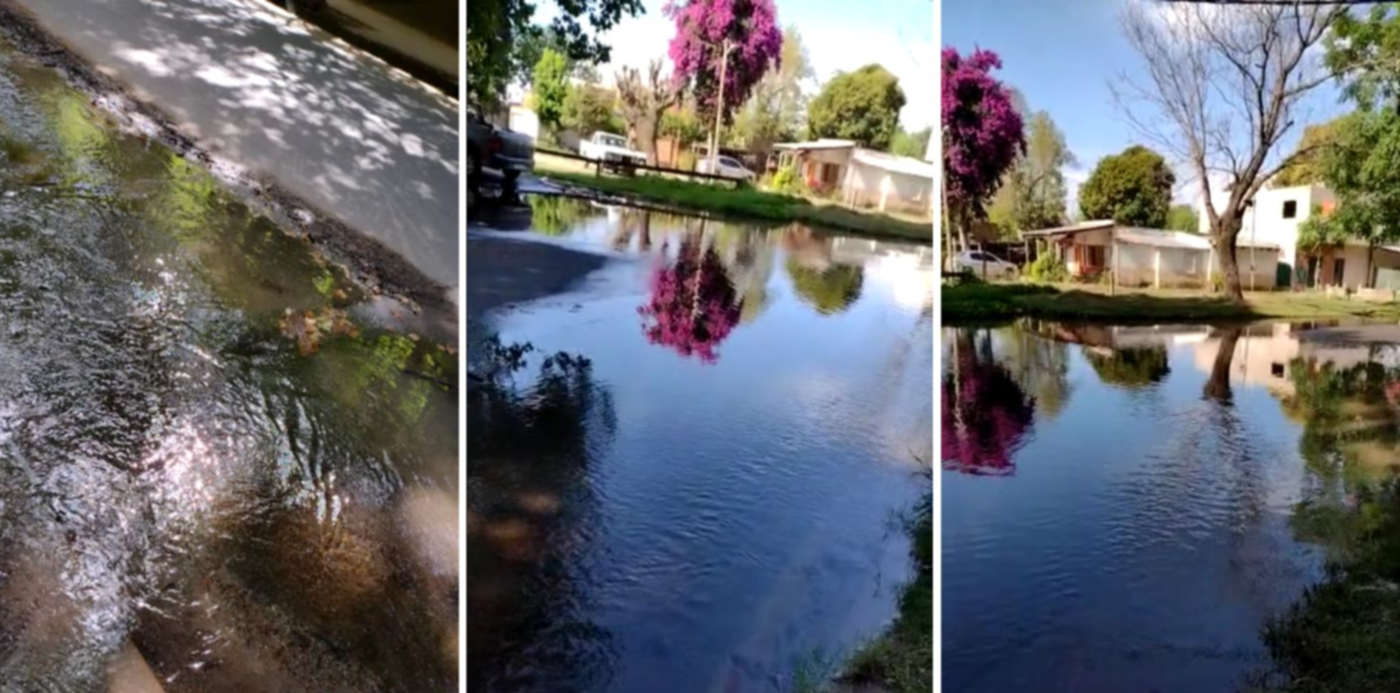 1672318657501.jpg?x=8&y=0&width=1484&height=742&rotate=0&scaleX=1&scaleY=1&ow=1500&oh=742&&cw=1920&ch=950