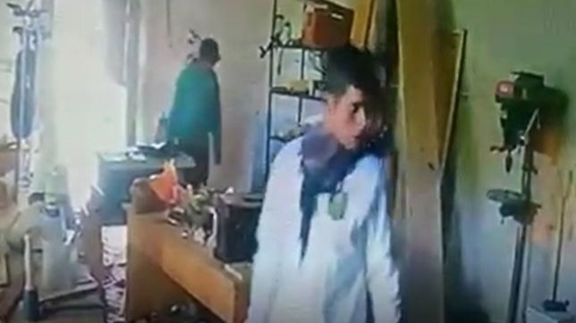 video: a plena luz del dia, se metieron en una casa de la plata y saquearon el garaje