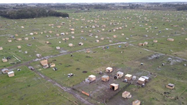 la megatoma de los hornos ya aparece en google maps
