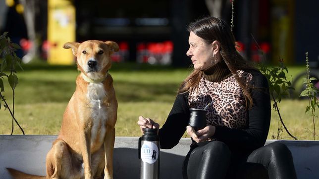 la semana empieza en la plata con un lunes fresco por la manana y casi primaveral a la tarde
