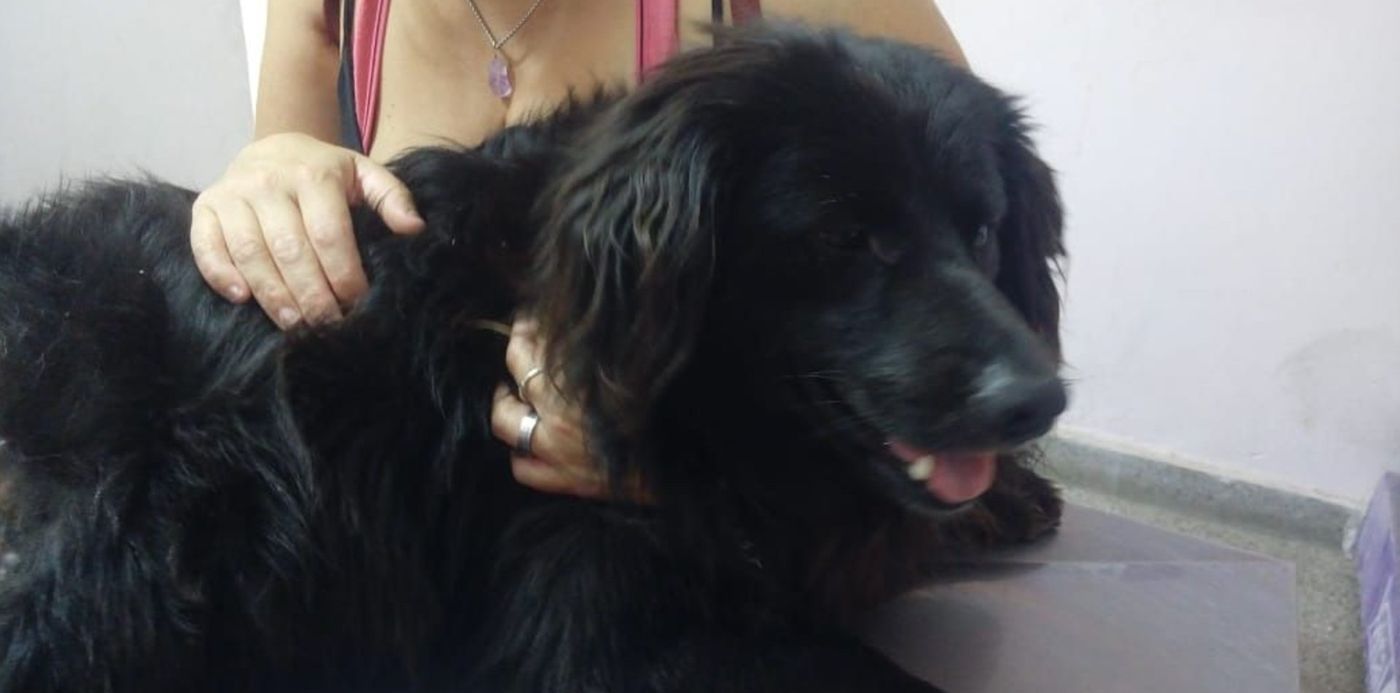 1547150449064.jpg?scaleY=1&ow=1040&oh=584&x=3&y=43&width=1034&rotate=0&scaleX=1&height=517&&cw=1920&ch=950