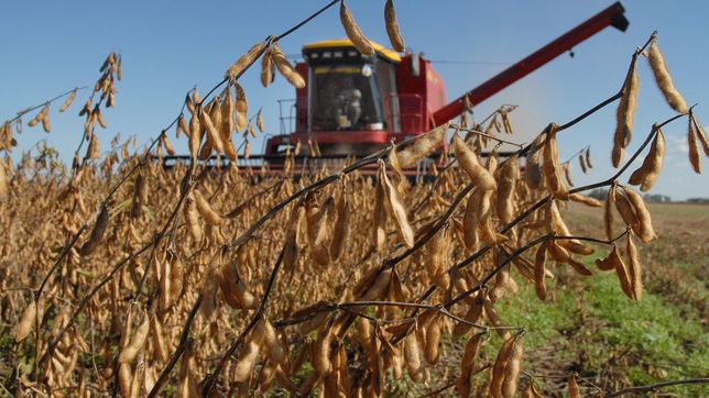 ¿cuales son los productos agropecuarios que pagaran menos retenciones?