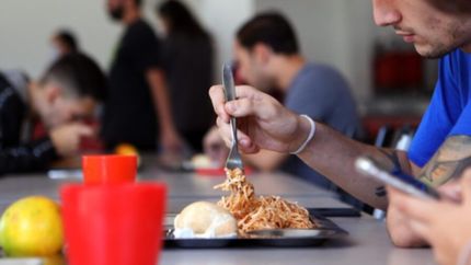 Becas, horarios, menú y precio: lo que hay que saber de la vuelta del comedor de la UNLP