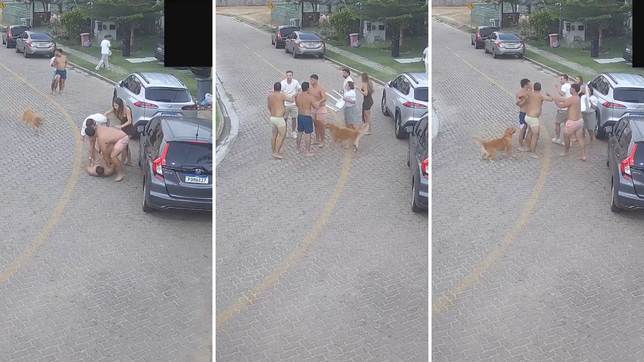 salen a la luz imagenes de la pelea en la que se vio envuelto eros mancuso y desato un escandalo en brasil