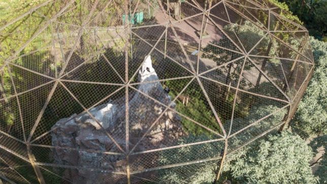 con plazas y espacios para recordar animales que ya no estan, asi sera el nuevo bioparque