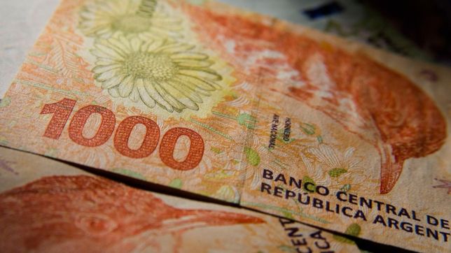 el gobierno y la anses definen un nuevo bono: ¿quienes lo recibiran y de cuanto sera?