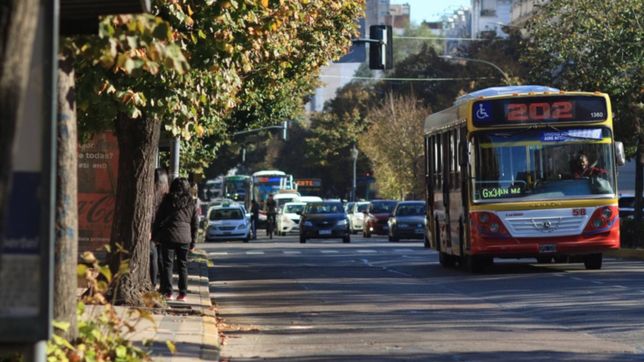 los choferes cobraron sin el aumento y por ahora sigue en pie el paro de micros