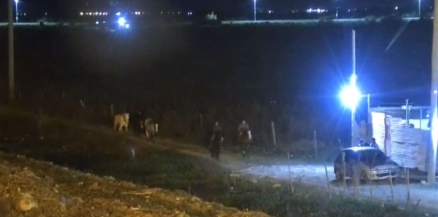 1686346514759.jpg?x=14&y=14&width=1329&height=664&rotate=0&scaleX=1&scaleY=1&ow=1389&oh=678&&cw=1920&ch=950