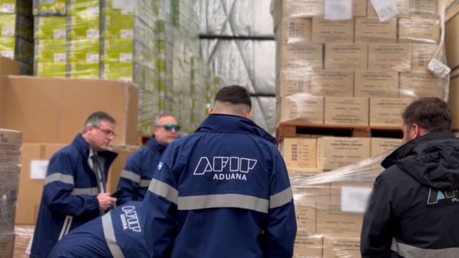 picanas, juguetes, medias y mas: la aduana secuestro 274 toneladas de productos ilegales