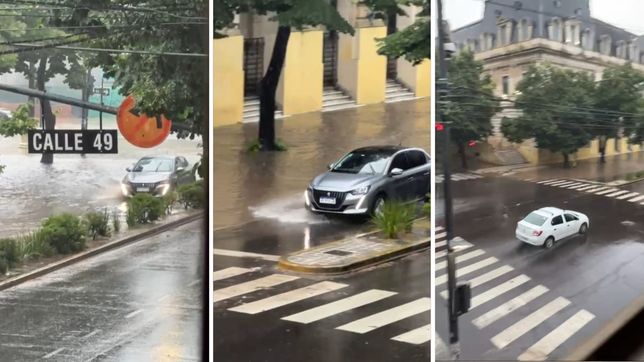 barrio por barrio, ¿cuanto llovio en la ciudad?                       