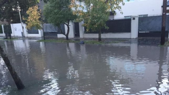 un barrio de la plata amanecio inundado y los vecinos explotaron contra absa