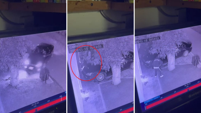 dos ladrones intentaron asaltar a una mujer y sus hijos, pero ella frustro el robo a los gritos