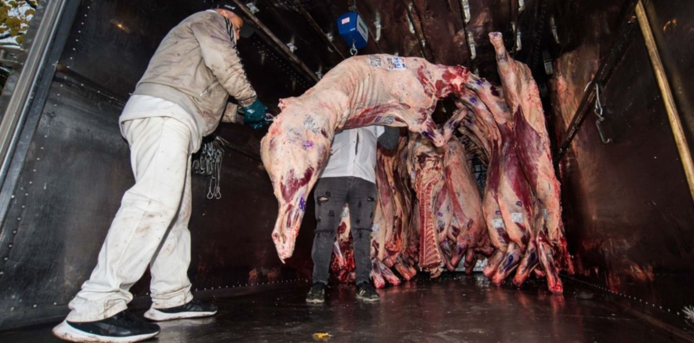 1622224720072.jpg?x=0&y=219&width=1506&height=753&rotate=0&scaleX=1&scaleY=1&ow=1500&oh=998&&cw=1920&ch=950