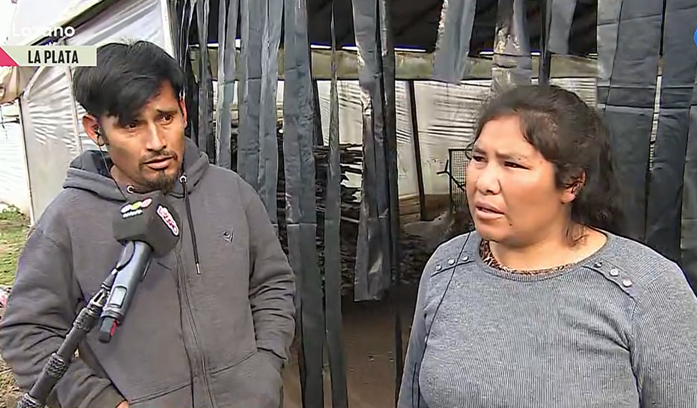 Dueños perros Arturo Seguí