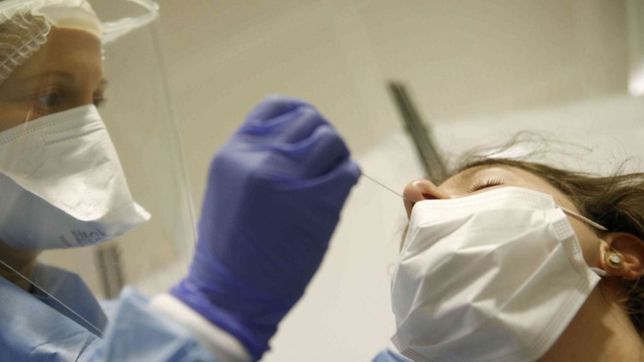 argentina sumo 12.027 contagios y supero el medio millon de casos de coronavirus