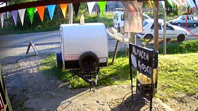 le robaron a su perro y lo busca desesperadamente