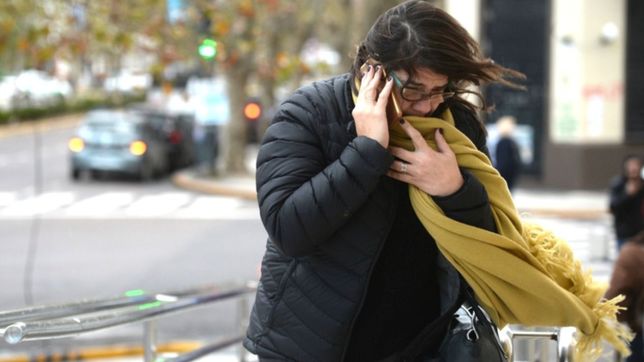 alerta por rafagas de mas de 60 km/h para la plata y el resto del amba