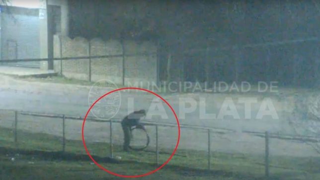video: detuvieron a tres personas que robaban cables en calles de la plata
