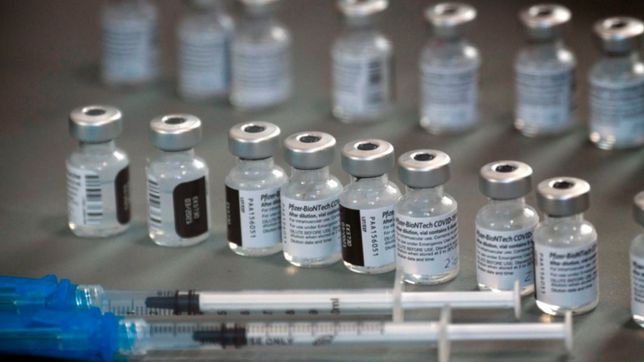 pfizer anuncio que su vacuna contra el coronavirus es segura en chicos de 5 a 11 anos