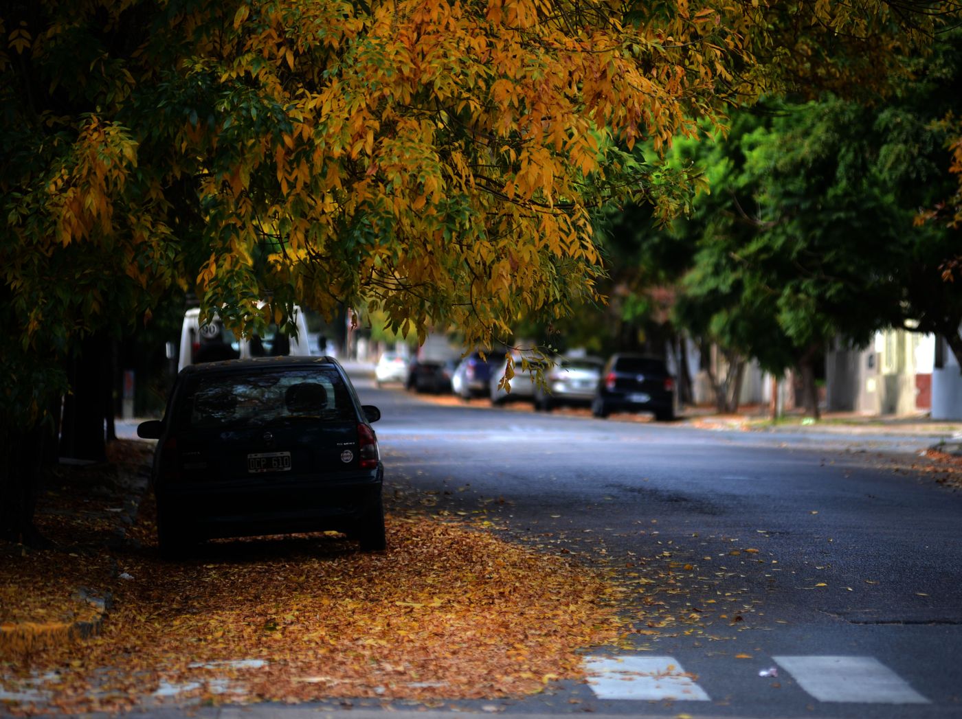 Otoño (9)