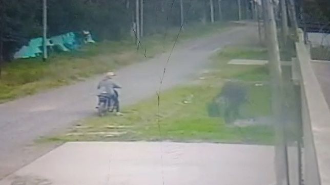 vecinos de un barrio de la plata desesperados porque les roban todos los dias