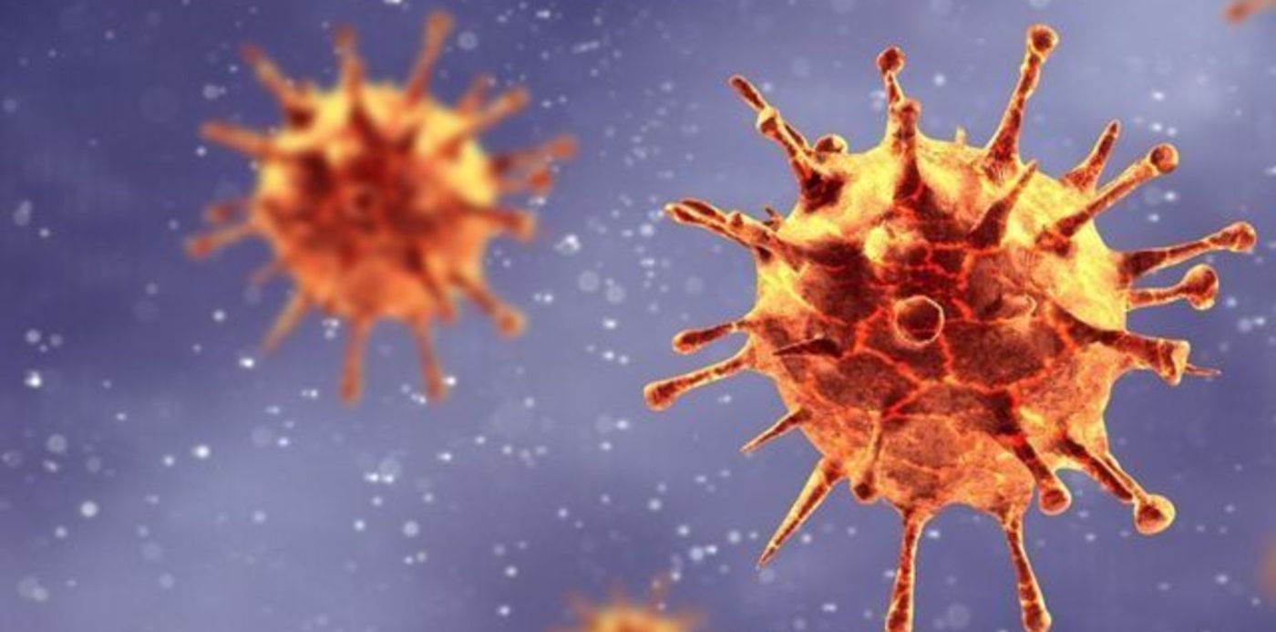 1616005558740.jpg?x=0&y=13&width=640&height=320&rotate=0&scaleX=1&scaleY=1&ow=640&oh=360&&cw=1920&ch=950