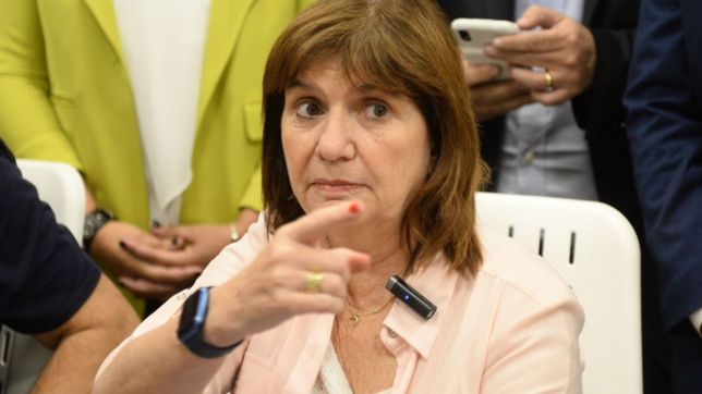 bullrich anuncio a su precandidato a vice y los halcones de jxc ya tienen formula