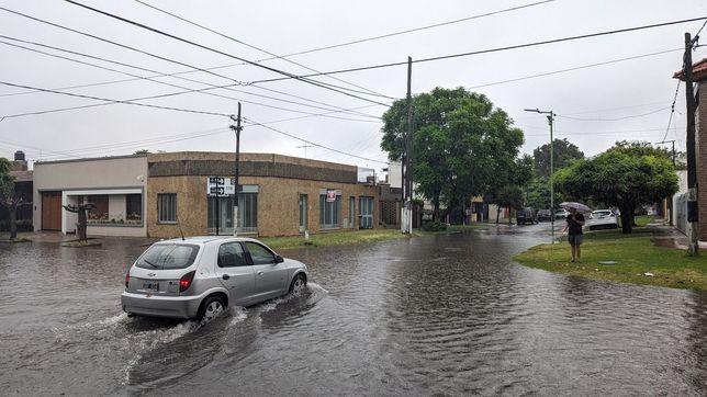 la ciudad bajo el agua: diluvia en la plata y los vecinos denuncian anegamientos en los barrios