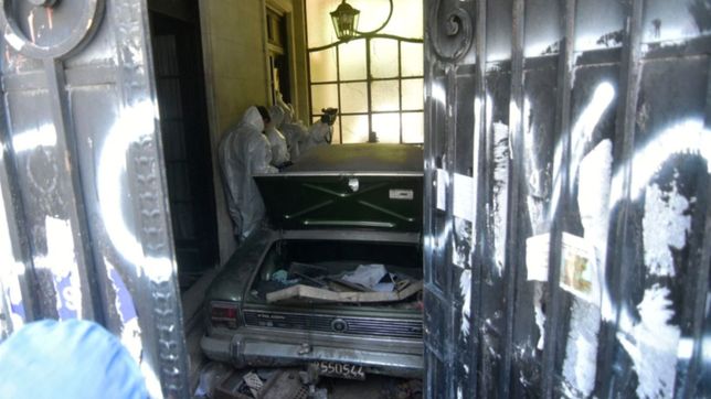 aparecio el gato que vive adentro de la casa de barreda y se hizo viral