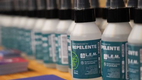 Continúan las jornadas de prevención del dengue en distintos barrios de La Plata Continúan las jornadas de prevención del dengue en distintos barrios de La Plata