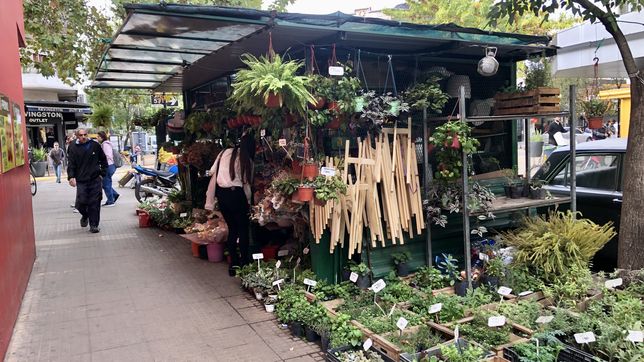 reconvertiran los puestos de flores en el centro de la plata e imponen nuevos requisitos
