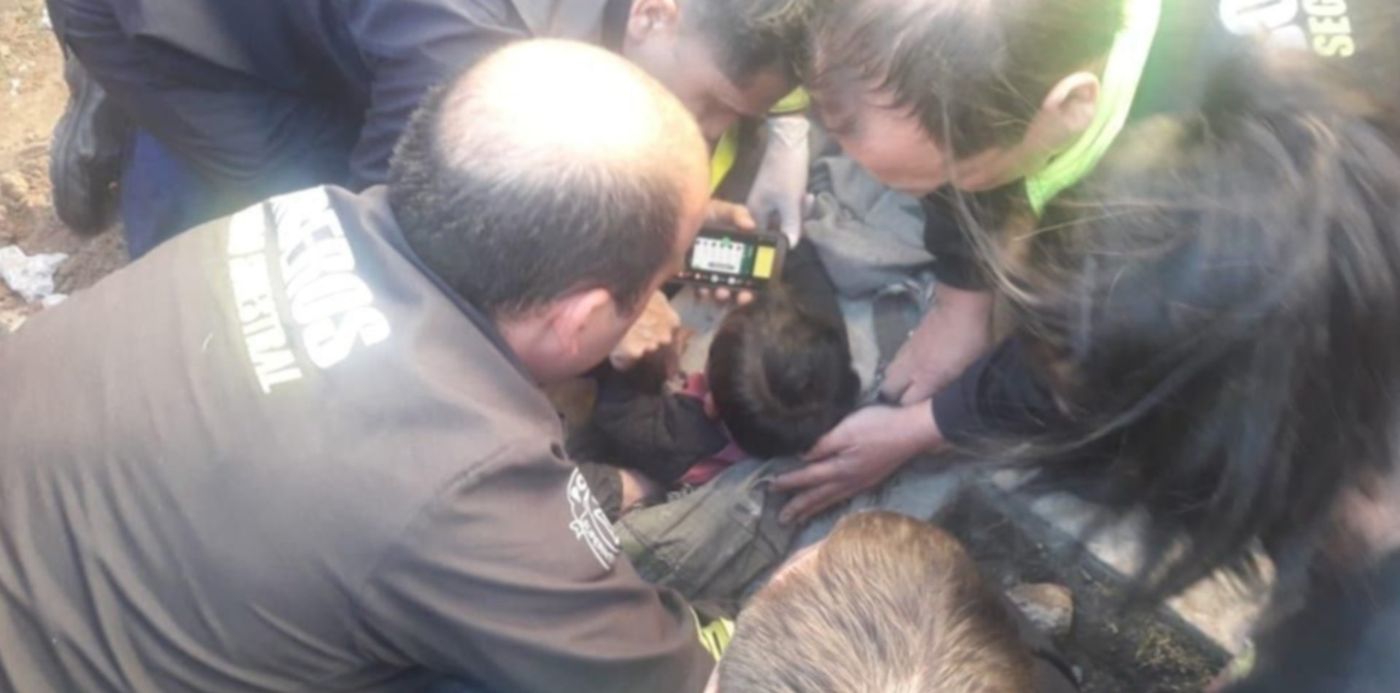 1564700169092.jpeg?scaleX=1&oh=774&x=5&width=1022&height=511&rotate=0&y=28&scaleY=1&ow=1032&&cw=1920&ch=950