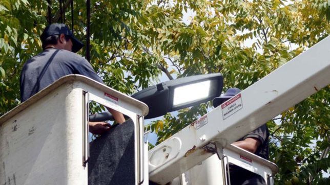 encaran la renovacion de mas de 400 luces led vandalizadas en la plata