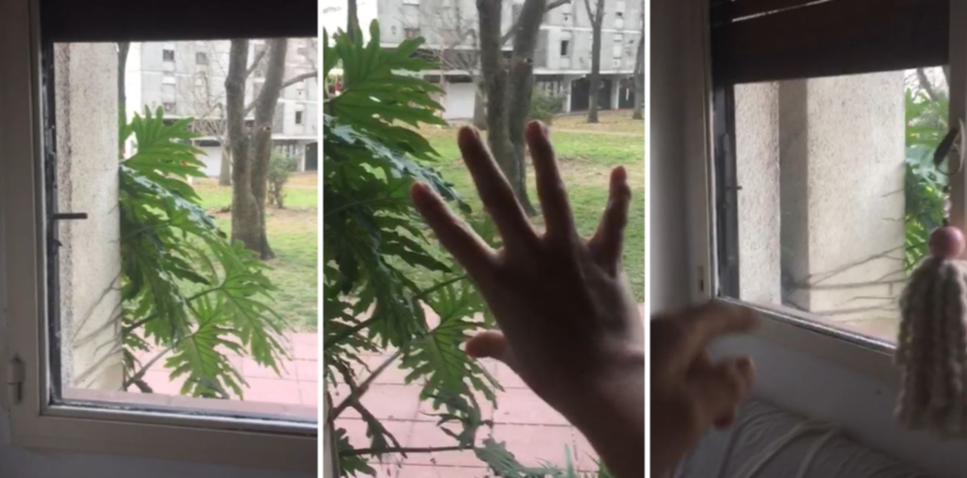 1657539775136.jpg?x=7&y=0&width=1266&height=633&rotate=0&scaleX=1&scaleY=1&ow=1280&oh=633&&cw=1920&ch=950