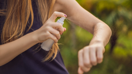 la municipalidad fabrica su propio repelente para repartir en los barrios la municipalidad fabrica su propio repelente para repartir en los barrios