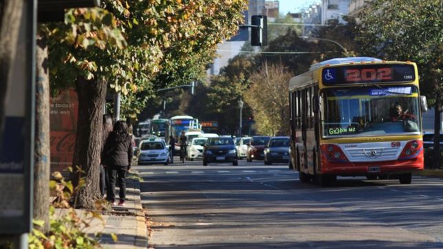 recorridos, barrios y paradas: asi sera el nuevo sistema de transporte en la plata