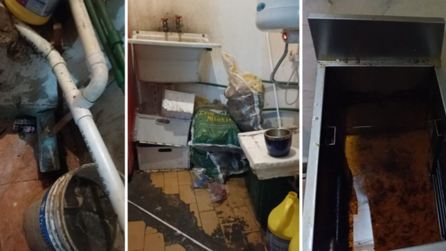 cucarachas, suciedad y techo roto: las irregularidades del local clausurado en diagonal 74