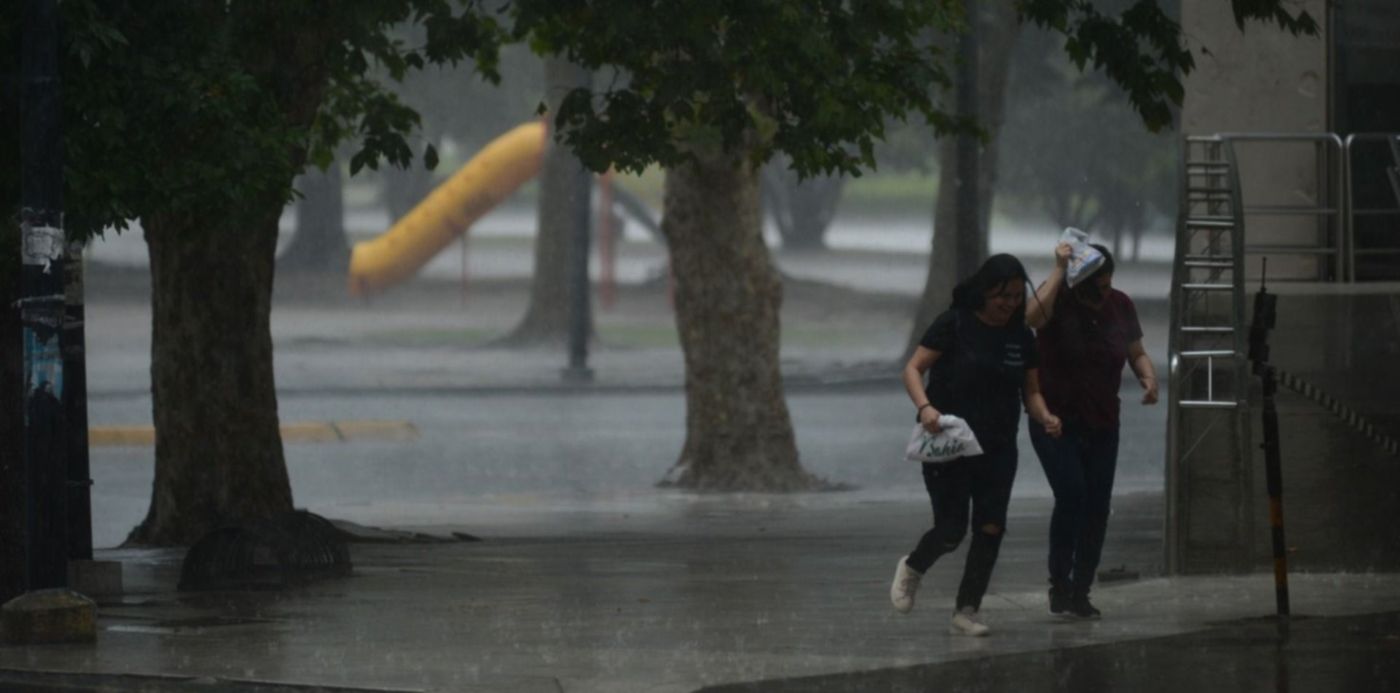 1577730868623.jpg?scaleY=1&ow=1500&oh=996&x=7&rotate=0&height=743&scaleX=1&y=253&width=1486&&cw=1920&ch=950