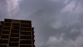 frio, nubes y ¿lluvias? asi estara el clima en la plata durante toda la semana frio, nubes y ¿lluvias? asi estara el clima en la plata durante toda la semana