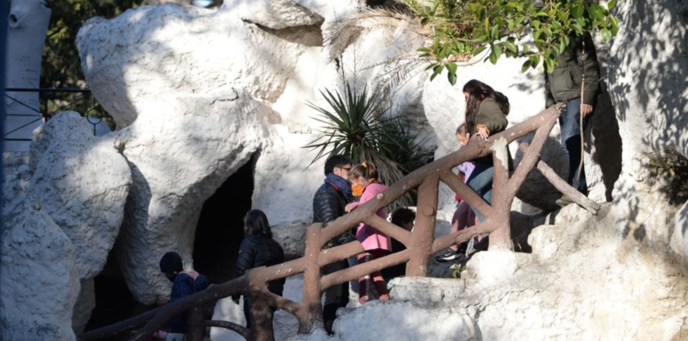 frío y sol bosque  - Frío y sol Bosque de La Plata