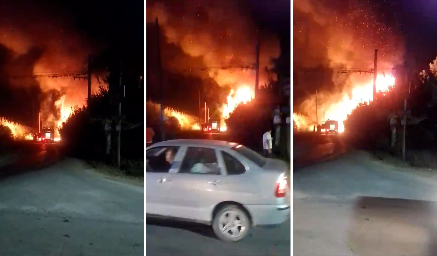 Incendios forestales.png