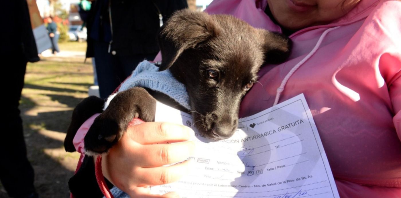 1560818188694.jpeg?x=24&y=119&width=1472&height=735&rotate=0&scaleX=1&scaleY=1&ow=1500&oh=993&&cw=1920&ch=950