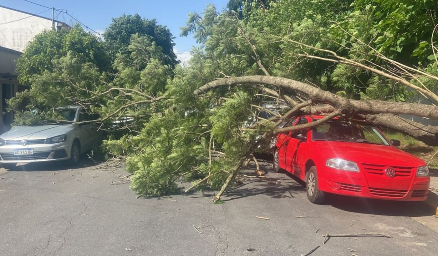 Copia de Copia de Tapa horizontal.png