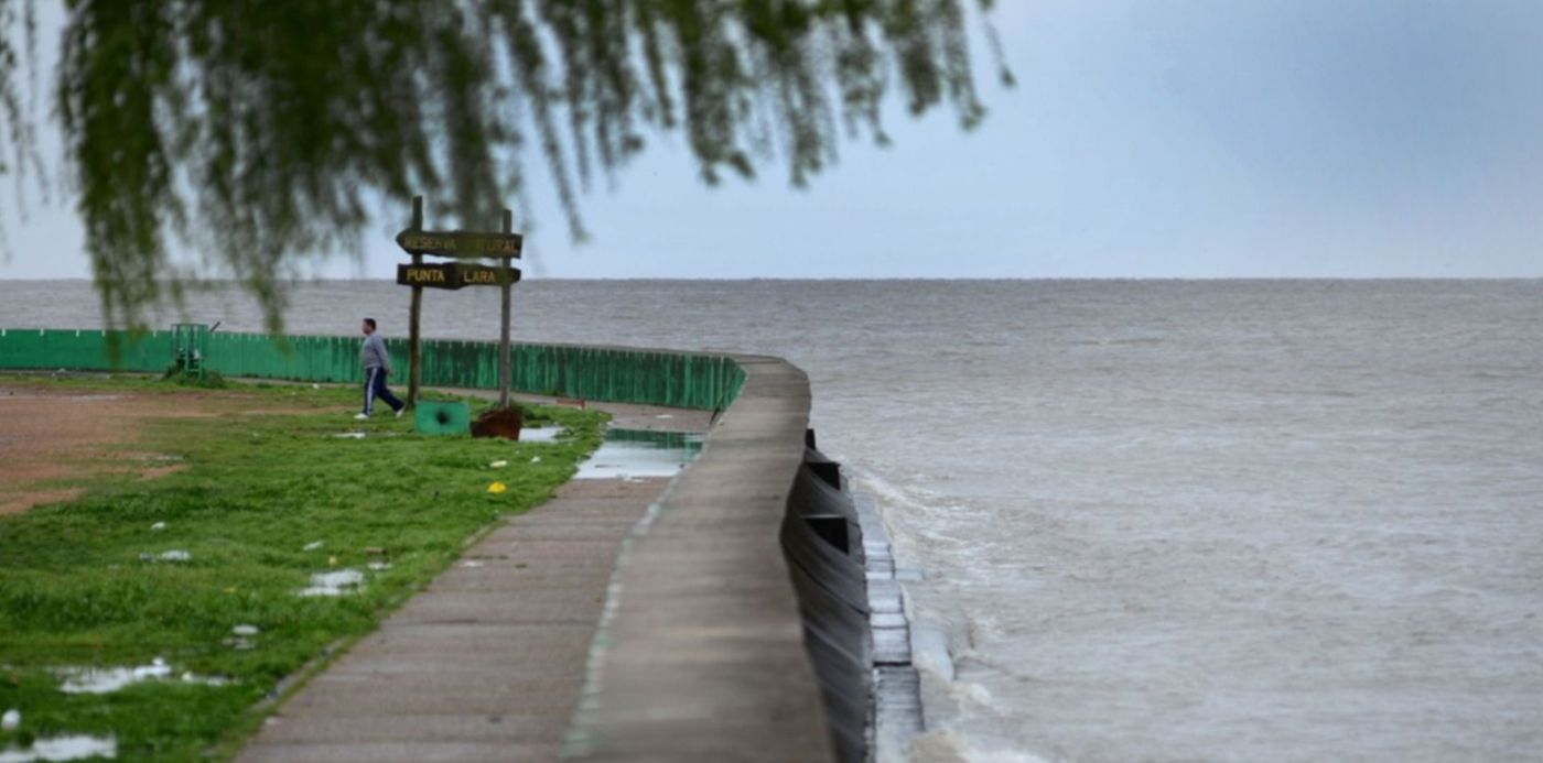 1569962887589.jpg?y=21&scaleY=1&oh=800&x=9&width=1488&height=744&rotate=0&scaleX=1&ow=1500&&cw=1920&ch=950